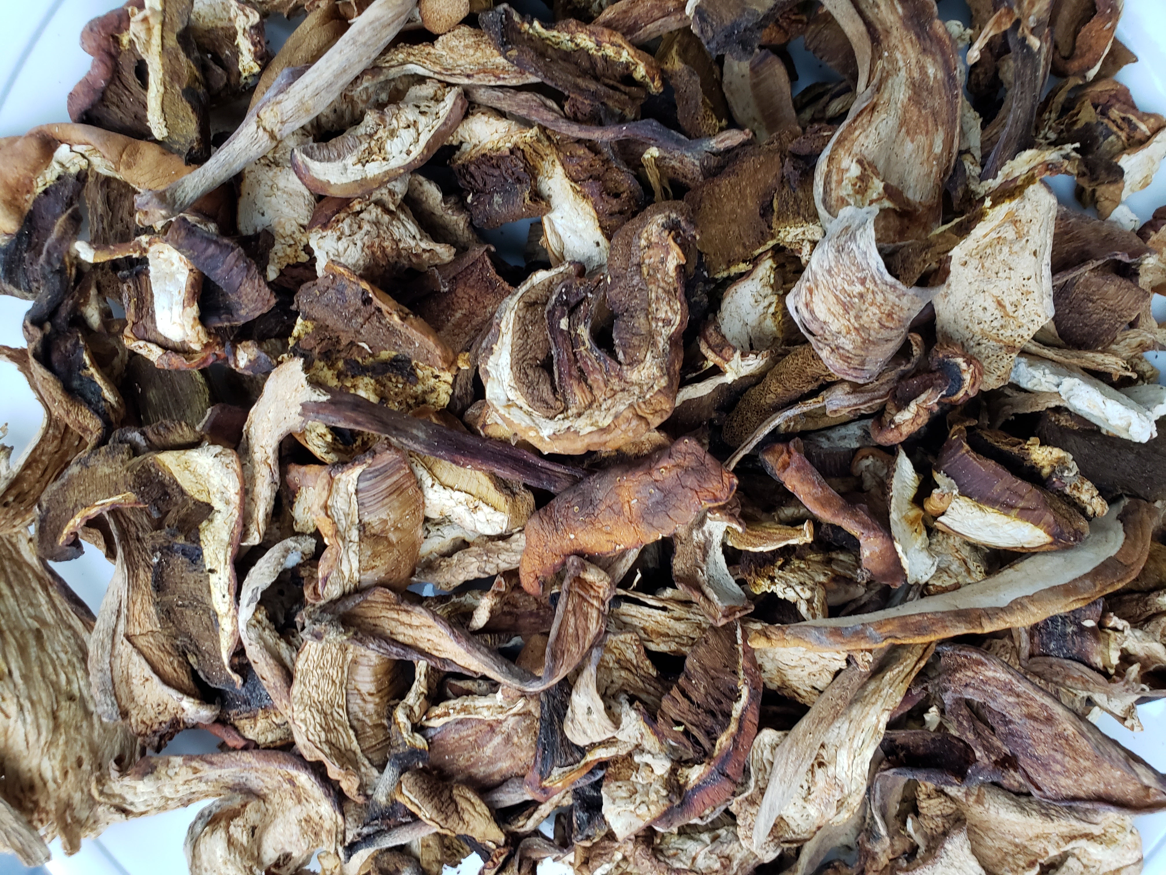 Dried Porcini 50g