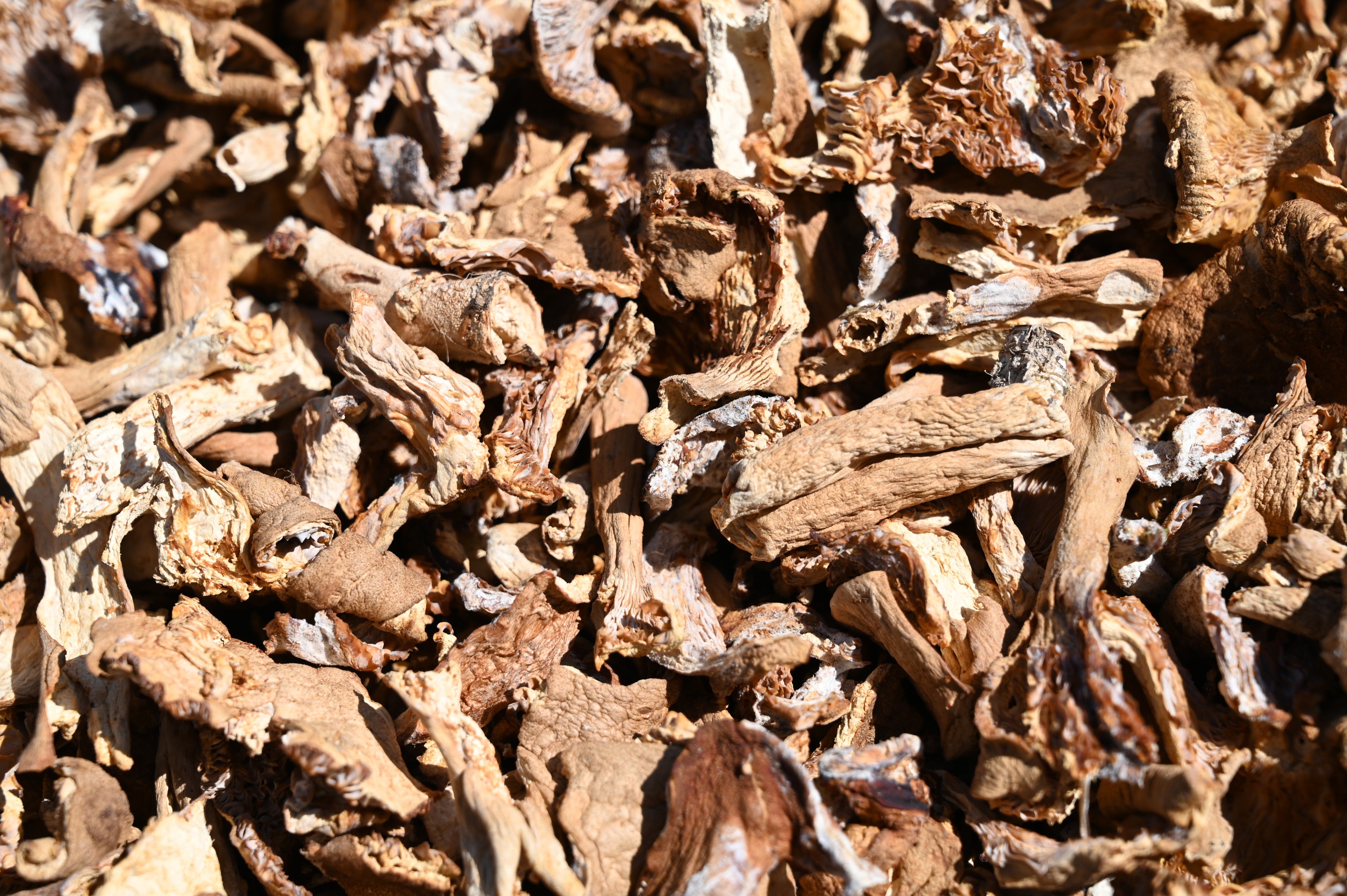 Dried Candy Cap 10g